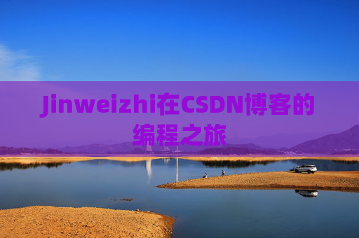 Jinweizhi在CSDN博客的编程之旅